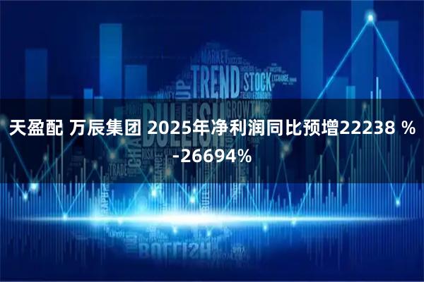 天盈配 万辰集团 2025年净利润同比预增22238 %-26694%