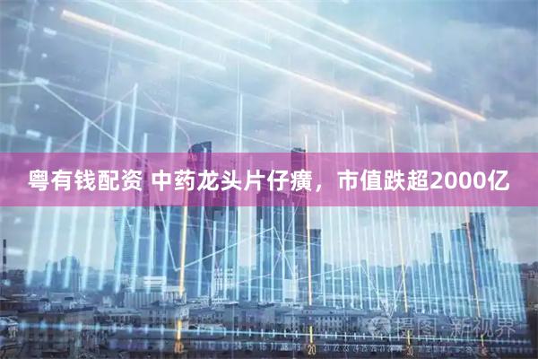 粤有钱配资 中药龙头片仔癀，市值跌超2000亿