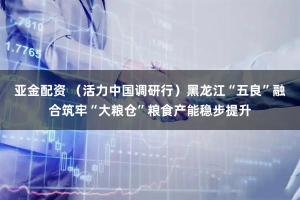 亚金配资 （活力中国调研行）黑龙江“五良”融合筑牢“大粮仓”粮食产能稳步提升